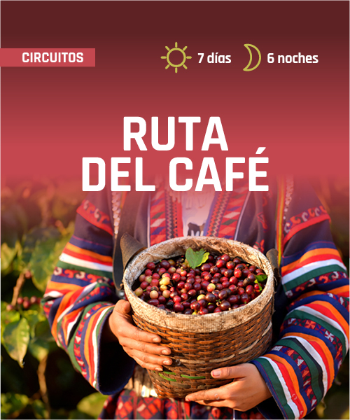 Ruta del Cafe